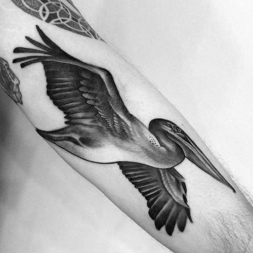 Pelican Tattoo for Men